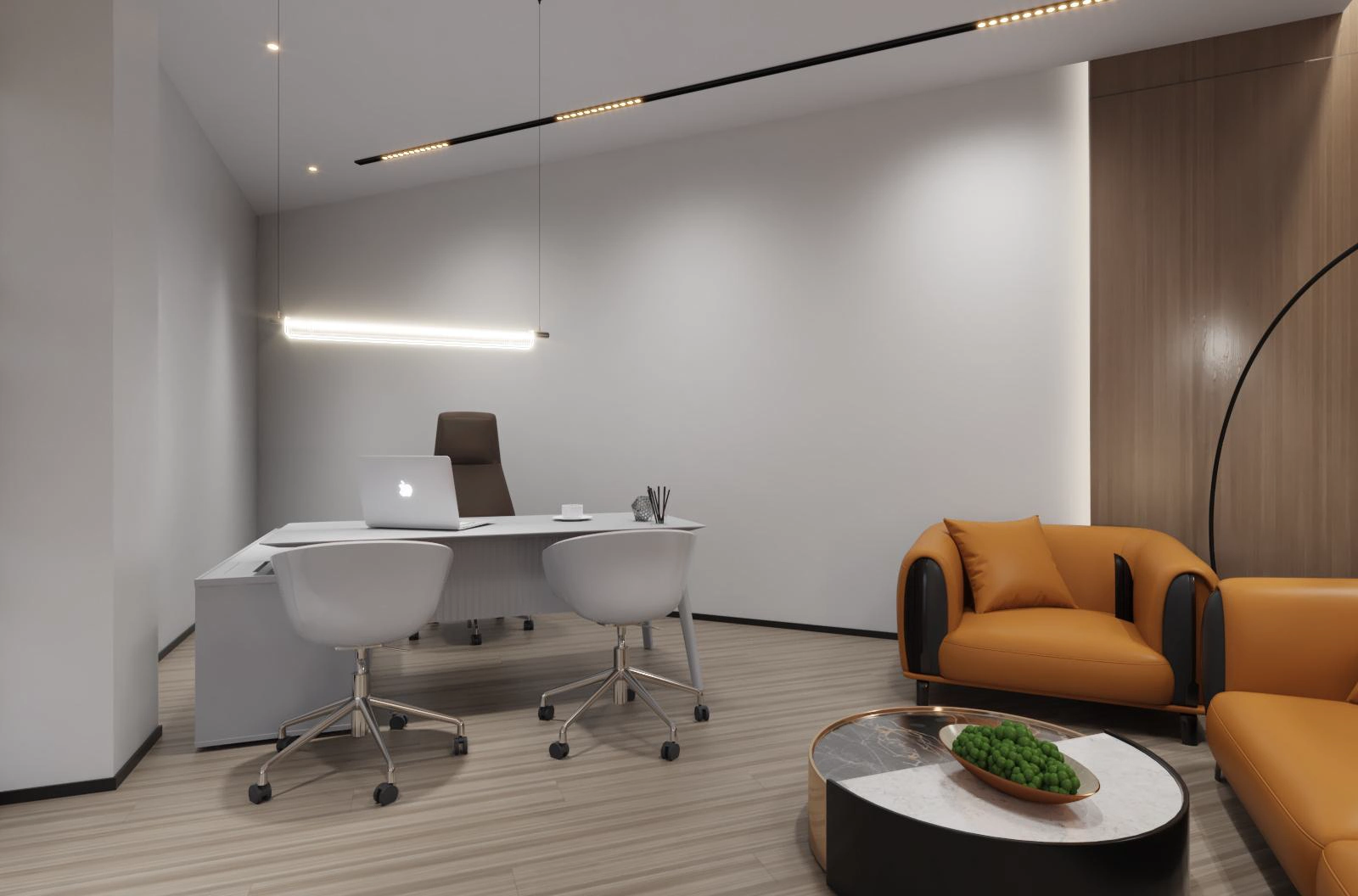 Back Office Desk Area